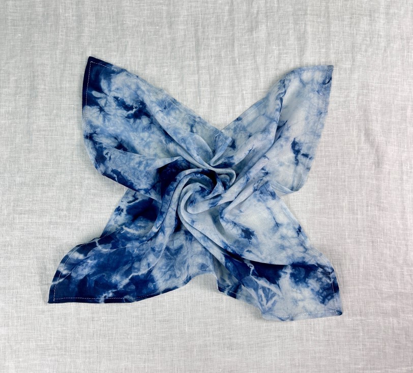 ������Ⱦ����